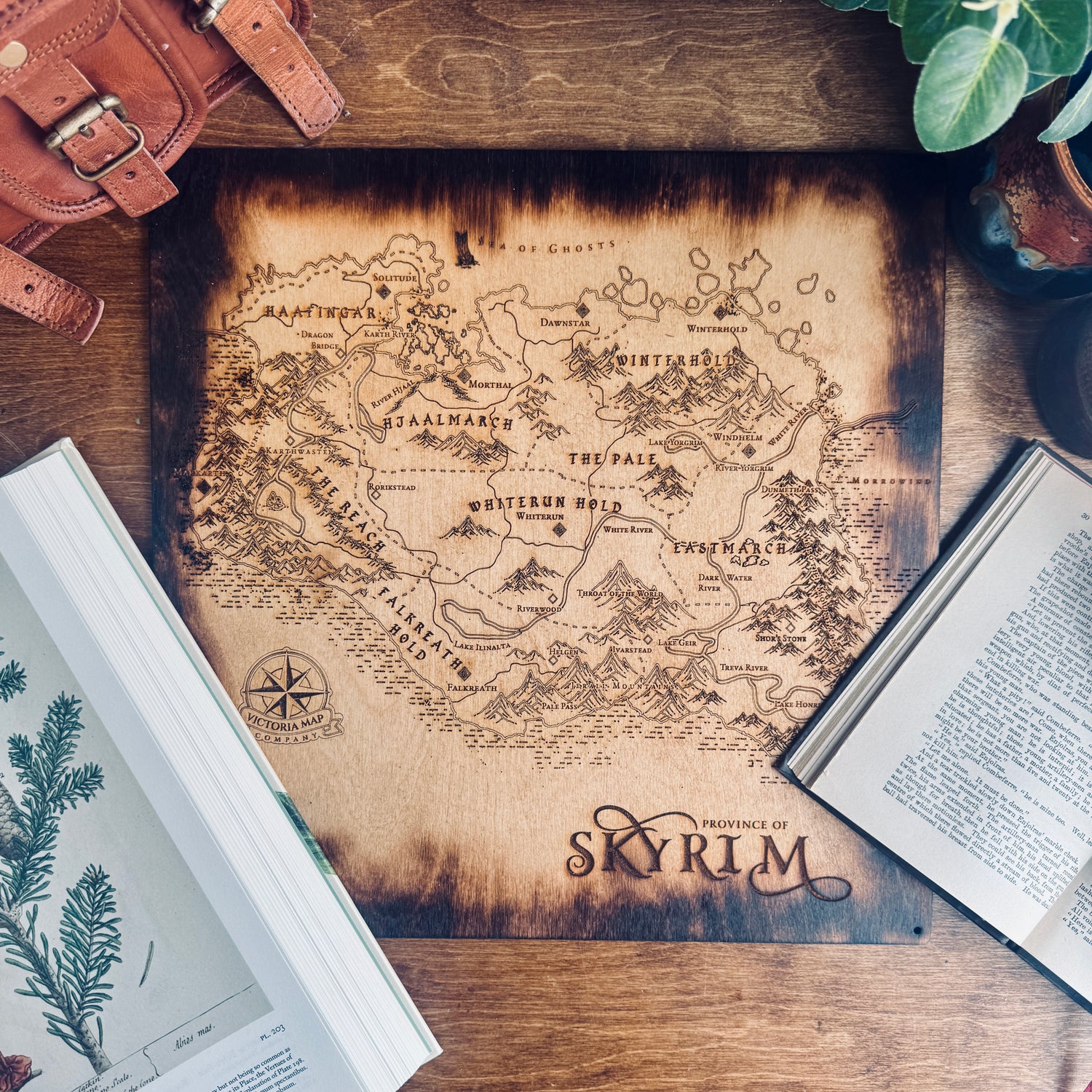 Fantasy maps