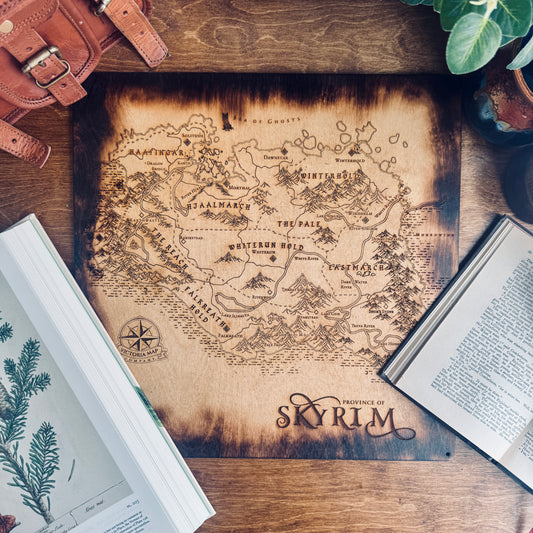 The Elder Scrolls V - Skyrim