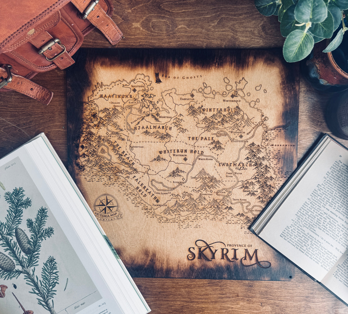 The Elder Scrolls V - Skyrim